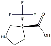 (R)-3-(trifluoromethyl)pyrrolidine-3-carboxylic acid 구조식 이미지