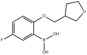 Boronic acid, B-[5-fluoro-2-[(tetrahydro-3-furanyl)methoxy]phenyl]- 구조식 이미지