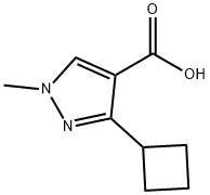 3-cyclobutyl-1-methyl-1H-pyrazole-4-carboxylic acid Structure