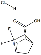 (3S)-6,6-difluoro-2-azabicyclo[2.2.1]heptane-3-carboxylic acid hydrochloride Structure