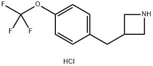 3-{[4-(trifluoromethoxy)phenyl]methyl}azetidine hydrochloride 구조식 이미지