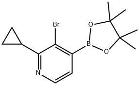 2-Cyclopropyl-3-bromopyridine-4-boronic acid pinacol ester 구조식 이미지