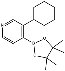 3-(Cyclohexyl)pyridine-4-boronic acid pinacol ester 구조식 이미지