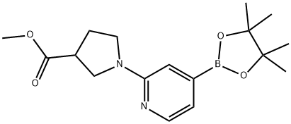 3-Pyrrolidinecarboxylic acid, 1-[4-(4,4,5,5-tetramethyl-1,3,2-dioxaborolan-2-yl)-2-pyridinyl]-, methyl ester 구조식 이미지
