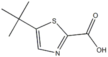 5-(tert-butyl)thiazole-2-carboxylic acid 구조식 이미지