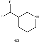 3-(difluoromethyl)piperidine hydrochloride Structure