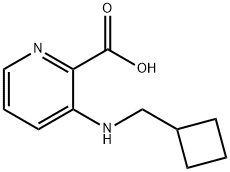 3-(cyclobutylmethylamino)pyridine-2-carboxylic acid Structure