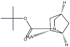 tert-butyl (1S,4S,6R)-6-amino-2-azabicyclo[2.2.1]heptane-2-carboxylate Structure