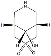 (1R,5S,9s)-9-hydroxy-3-thia-7-azabicyclo[3.3.1]nonane 3,3-dioxide Structure