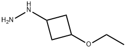 (3-ethoxycyclobutyl)hydrazine Structure