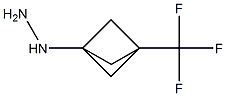 [3-(trifluoromethyl)bicyclo[1.1.1]pentan-1-yl]hydrazine Structure