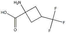 1-amino-3-(trifluoromethyl)cyclobutane-1-carboxylic acid Structure