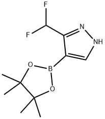 3-(difluoromethyl)-4-(4,4,5,5-tetramethyl-1,3,2-dioxaborolan-2-yl)-1H-pyrazole Structure