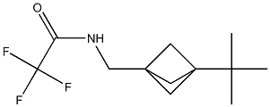 N-({3-tert-butylbicyclo[1.1.1]pentan-1-yl}methyl)-2,2,2-trifluoroacetamide Structure