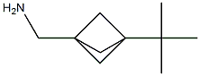 {3-tert-butylbicyclo[1.1.1]pentan-1-yl}methanamine Structure