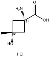 cis-1-amino-3-hydroxy-3-methylcyclobutane-1-carboxylic acid hydrochloride 구조식 이미지