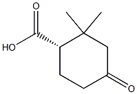 (1S)-2,2-dimethyl-4-oxocyclohexane-1-carboxylic acid Structure