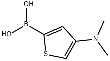 4-(Dimethylamino)thiophene-2-boronic acid 구조식 이미지