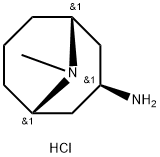 exo-3-Amino-9-methyl-9-azabicyclo[3.3.1]nonane Dihydrochloride 구조식 이미지
