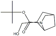 tert-butyl 6-(hydroxymethyl)-2-azabicyclo[2.2.1]heptane-2-carboxylate 구조식 이미지