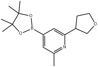 2-methyl-6-(tetrahydrofuran-3-yl)-4-(4,4,5,5-tetramethyl-1,3,2-dioxaborolan-2-yl)pyridine 구조식 이미지