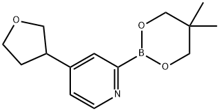 4-(Oxolan-3-yl)pyridine-2-boronic acid neopentylglycol ester Structure