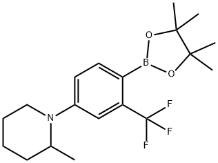 2-Trifluoromethyl-4-(2-methylpiperidin-1-yl)phenylboronic acid pinacol ester 구조식 이미지