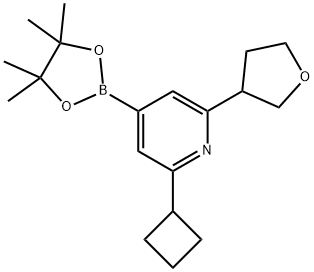 2-(Cyclobutyl)-6-(oxolan-3-yl)pyridine-4-boronic acid pinacol ester 구조식 이미지