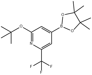 2-Trifluoromethyl-6-(tert-butoxy)pyridine-4-boronic acid pinacol ester 구조식 이미지