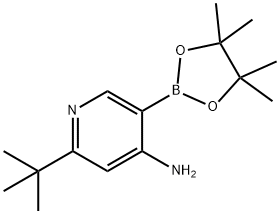 2-(tert-butyl)-5-(4,4,5,5-tetramethyl-1,3,2-dioxaborolan-2-yl)pyridin-4-amine 구조식 이미지