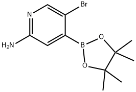 2-Amino-5-bromopyridine-4-boronic acid pinacol ester 구조식 이미지