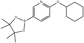 2-(Cyclohexyloxy)pyridine-5-boronic acid pinacol ester Structure