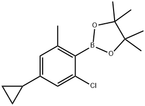 2-Chloro-6-methyl-4-cyclopropylphenylboronic acid pinacol ester 구조식 이미지