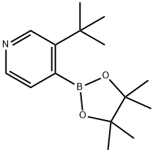 3-(tert-Butyl)pyridine-4-boronic acid pinacol ester Structure