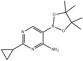 4-Amino-2-(cyclopropyl)pyrimidine-5-boronic acid pinacol ester 구조식 이미지