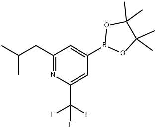 2-(iso-Butyl)-6-trifluoromethylpyridine-4-boronic acid pinacol ester 구조식 이미지