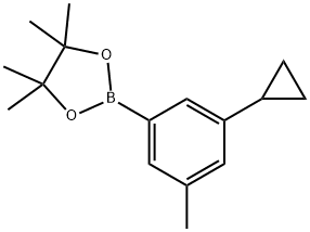 2-(3-cyclopropyl-5-methylphenyl)-4,4,5,5-tetramethyl-1,3,2-dioxaborolane 구조식 이미지