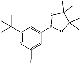 2-(tert-butyl)-6-fluoro-4-(4,4,5,5-tetramethyl-1,3,2-dioxaborolan-2-yl)pyridine 구조식 이미지
