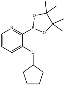 3-(Cyclopentoxy)pyridine-2-boronic acid pinacol ester 구조식 이미지