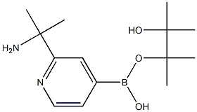 2-(2-Aminopropan-2-yl)pyridine-4-boronic acid pinacol ester 구조식 이미지