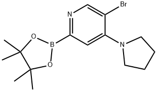 5-Bromo-4-(pyrrolidino)pyridine-2-boronic acid pinacol ester 구조식 이미지