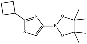 2-cyclobutyl-4-(4,4,5,5-tetramethyl-1,3,2-dioxaborolan-2-yl)thiazole Structure