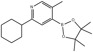 5-Methyl-2-(cyclohexyl)pyridine-4-boronic acid pinacol ester 구조식 이미지