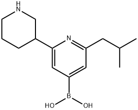 2-(iso-Butyl)-6-(piperidin-3-yl)pyridine-4-boronic acid 구조식 이미지