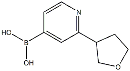 (2-(tetrahydrofuran-3-yl)pyridin-4-yl)boronic acid Structure