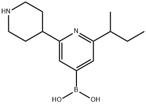 2-(sec-Butyl)-6-(piperidin-4-yl)pyridine-4-boronic acid 구조식 이미지