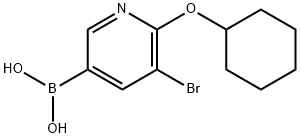 5-Bromo-6-(cyclohexyloxy)pyridine-3-boronic acid 구조식 이미지