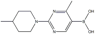 4-Methyl-2-(4-methylpiperidino)pyrimidine-5-boronic acid Structure