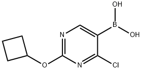 4-Chloro-2-(cyclobutoxy)pyrimidine-5-boronic acid Structure