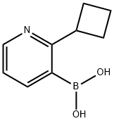 2-(Cyclobutyl)pyridine-3-boronic acid Structure